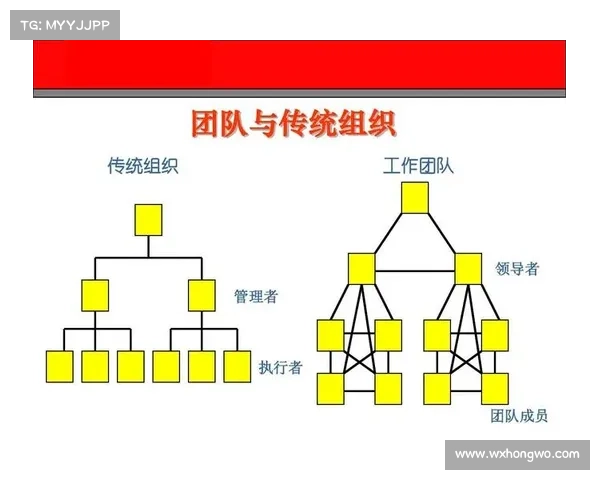 辅助光辉装备使用与团队协作技巧全面解析助力战斗策略提升 辅助光辉装备使用与团队协作技巧全面解析助力战斗策略提升
