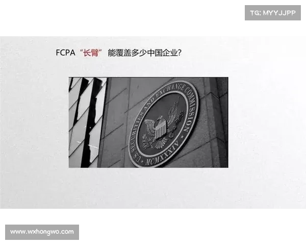 从法律到实务:正规渠道购买枪械与防身器具的安全合规全面详尽指南 从法律到实务:正规渠道购买枪械与防身器具的安全合规全面详尽指南