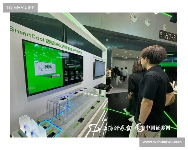 全面解析埃因青少年与阿贾青少年发展体系全方位关键五大核心要点