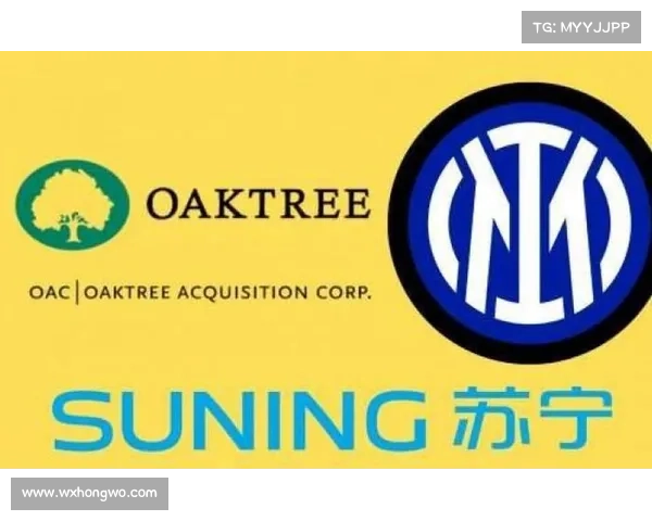 如何深入分析苏宁控股国际米兰的战略意义与未来发展潜力