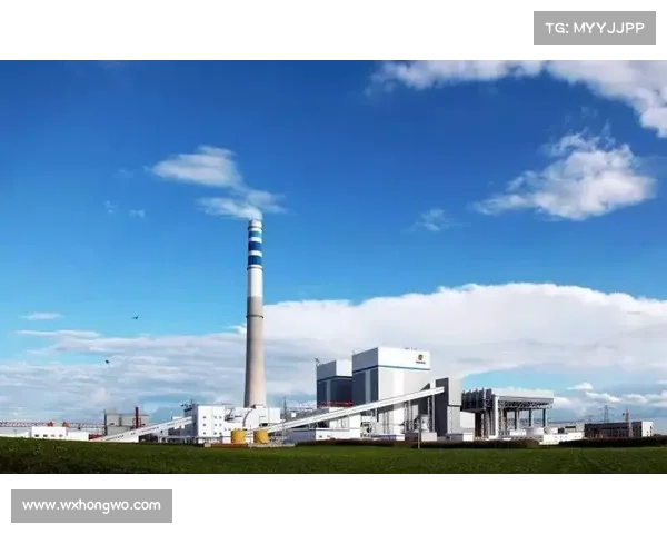 如何科学规划内斯塔退役后的生活与事业转型路径